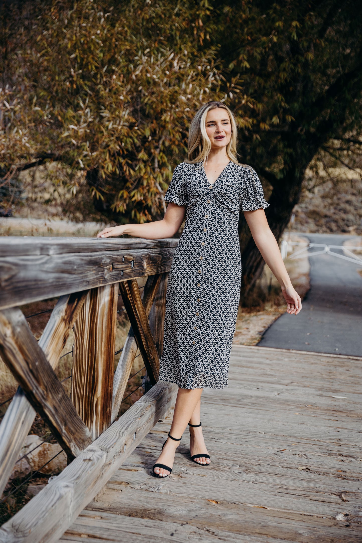 Wanda Dress in Vintage Petal- Misses, Plus, and Extended Plus (XS-4X)