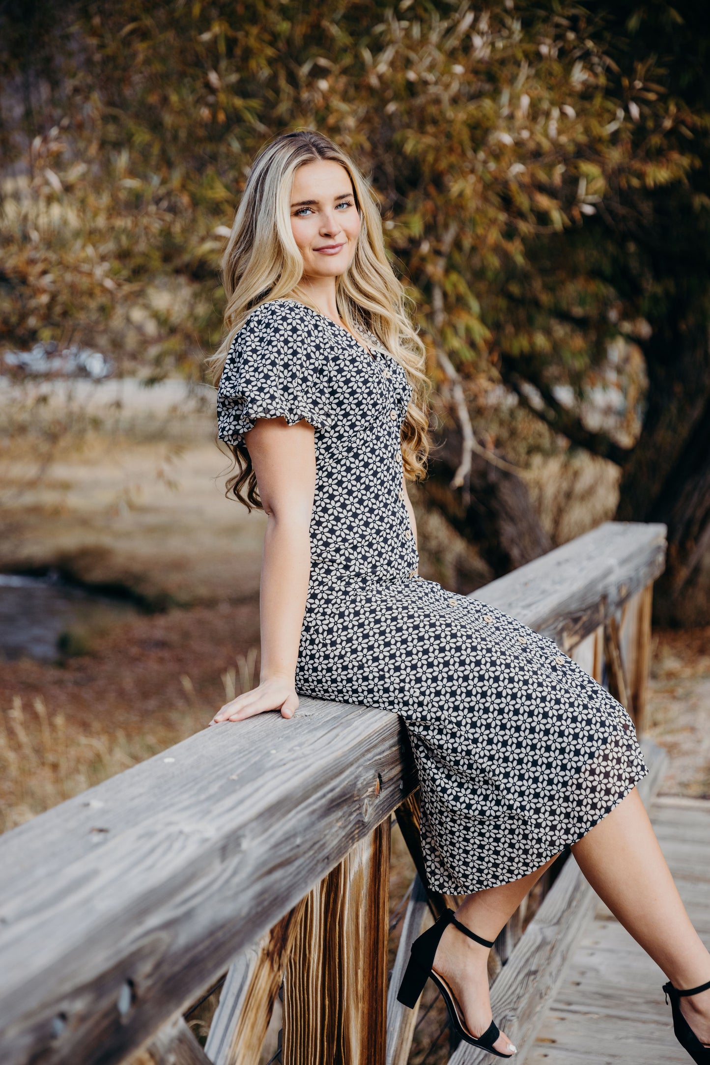 Wanda Dress in Vintage Petal- Misses, Plus, and Extended Plus (XS-4X)