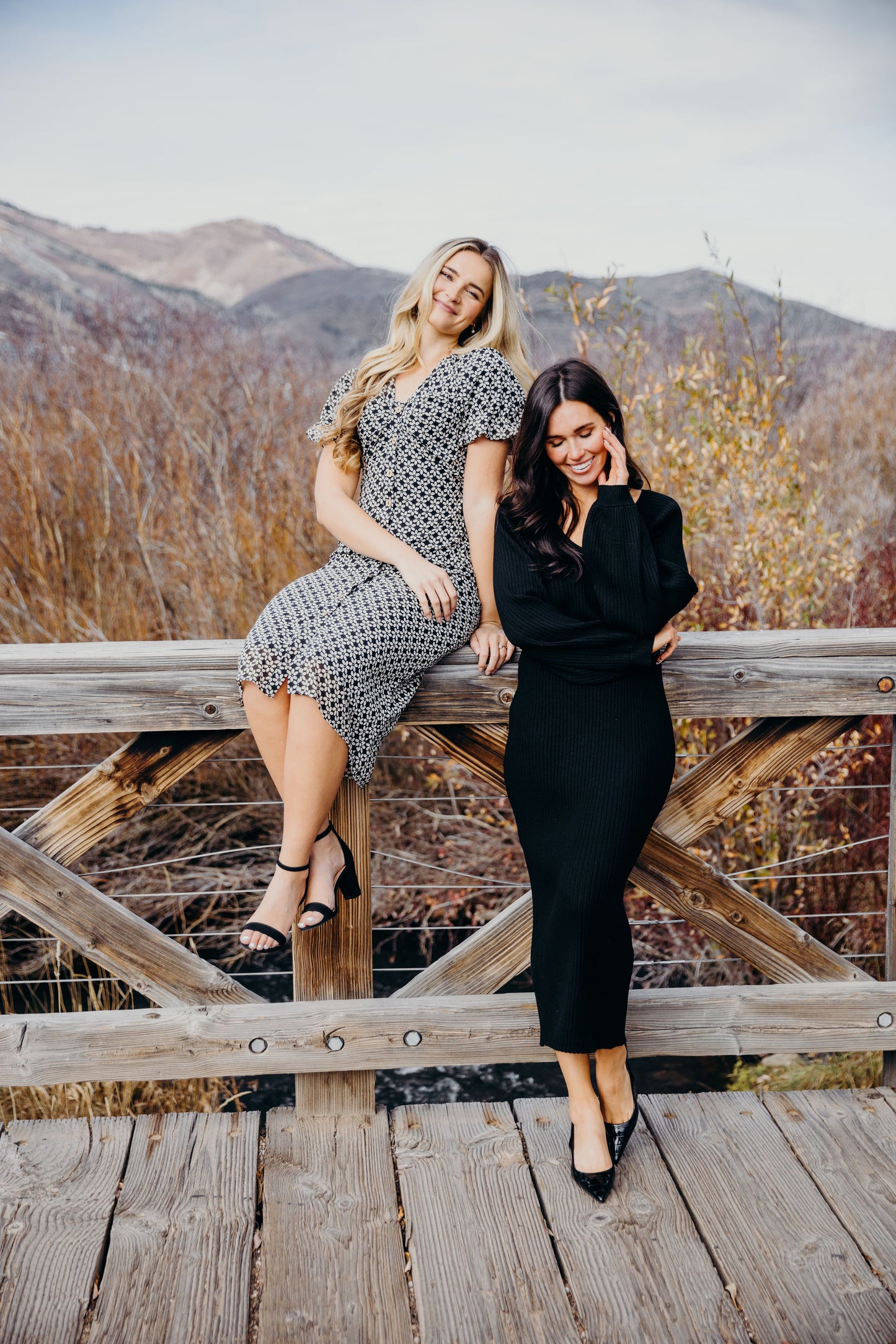 Wanda Dress in Vintage Petal- Misses, Plus, and Extended Plus (XS-4X)