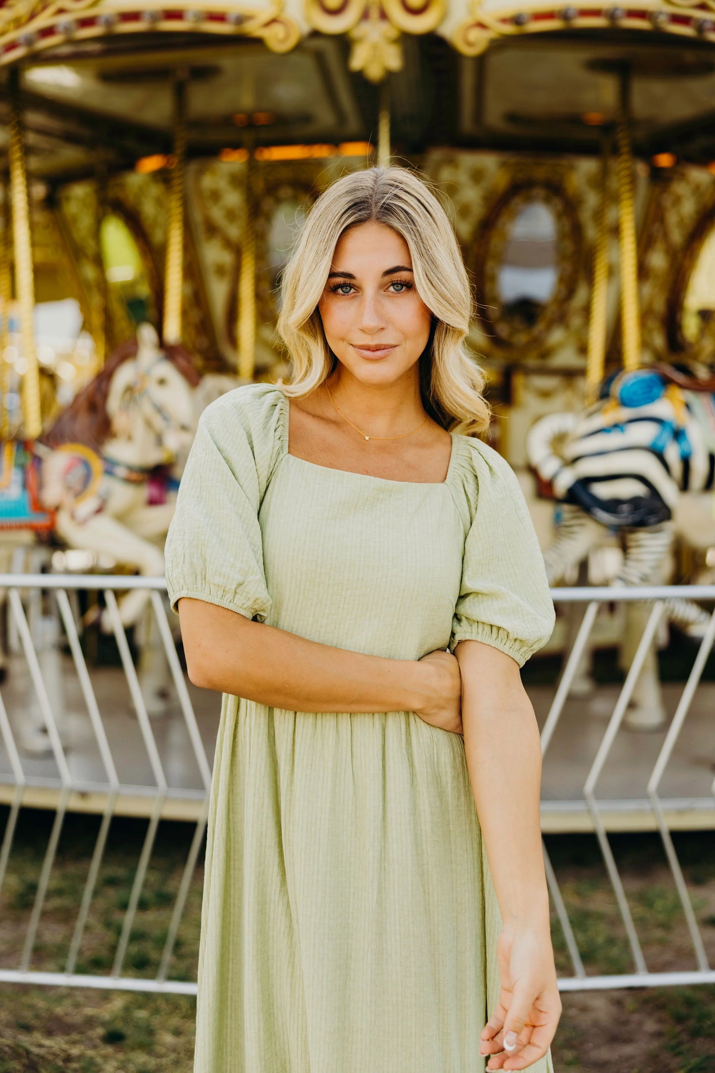 Tessi Dress in Saybrook Sage- Misses and Plus (XS-4X)