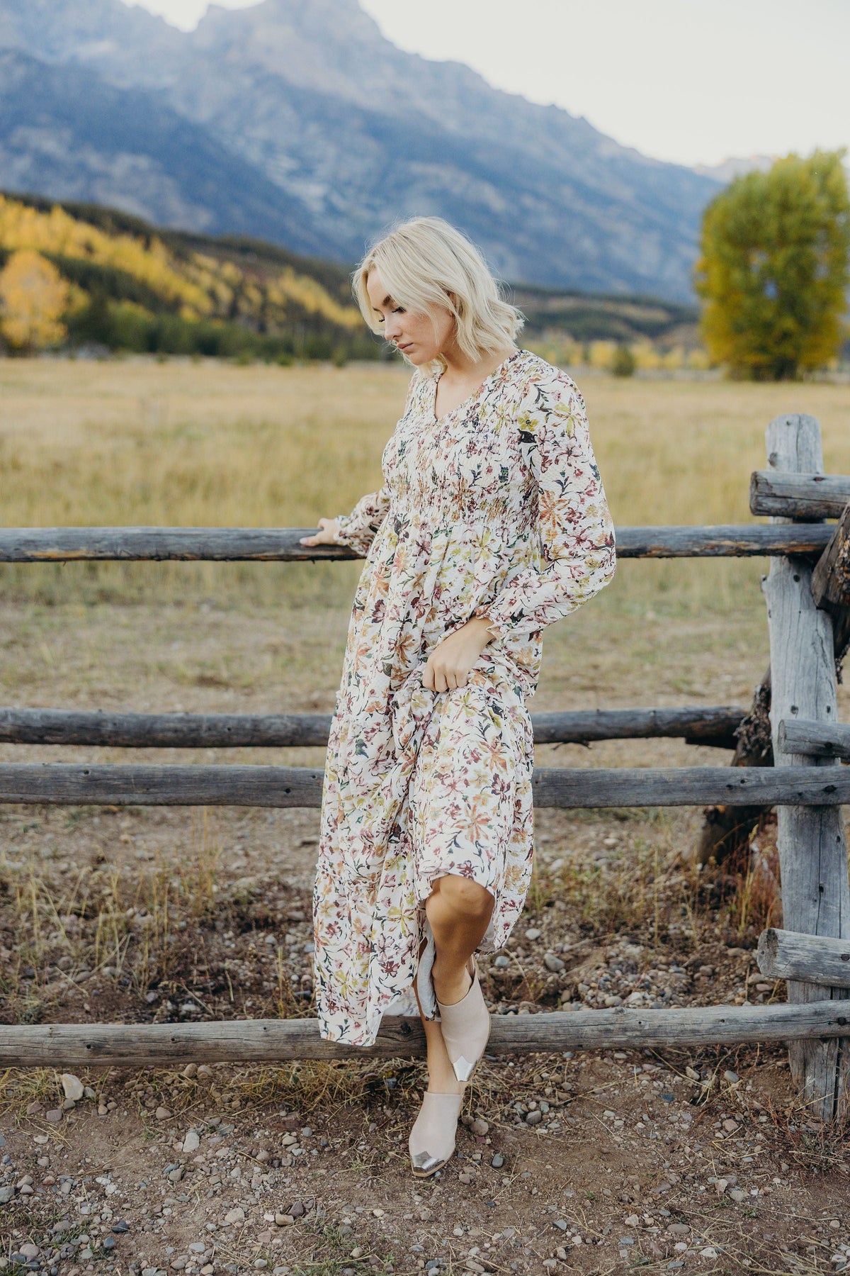 September Dress in Painter's Garden- Misses and Plus (XS-4X)
