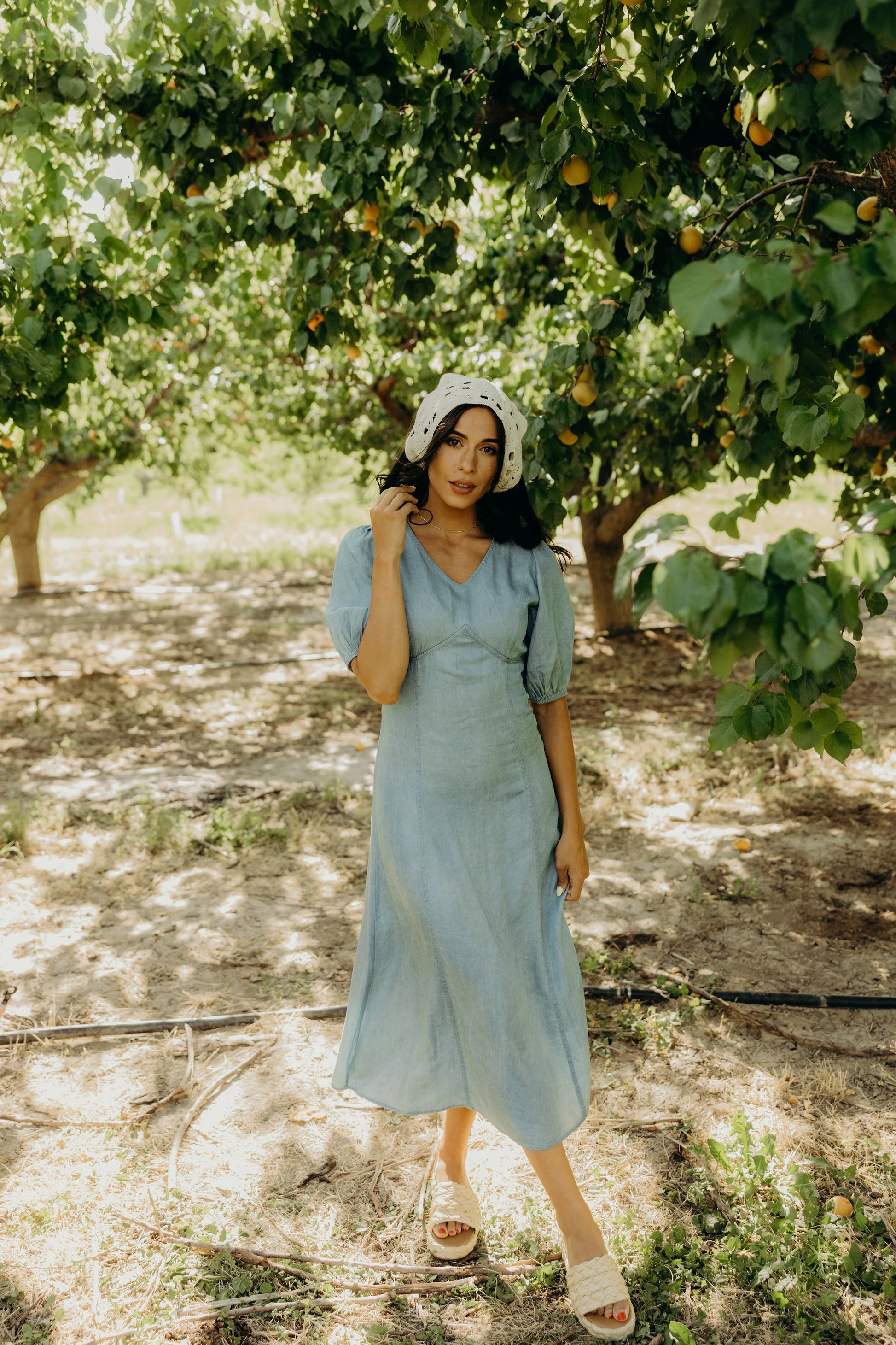 Braxton Dress in Light Denim- Misses and Plus (XS-4X)