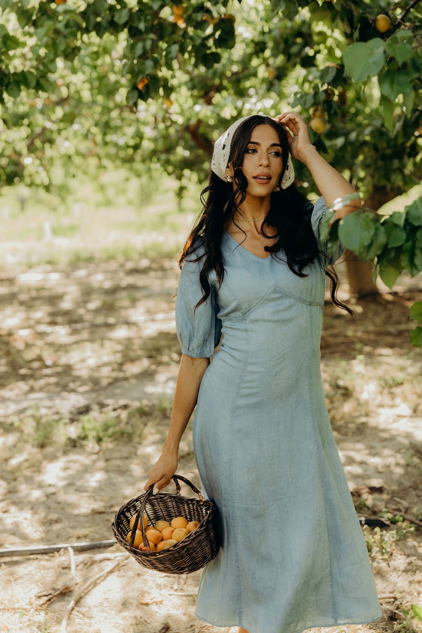 Braxton Dress in Light Denim- Misses and Plus (XS-4X)