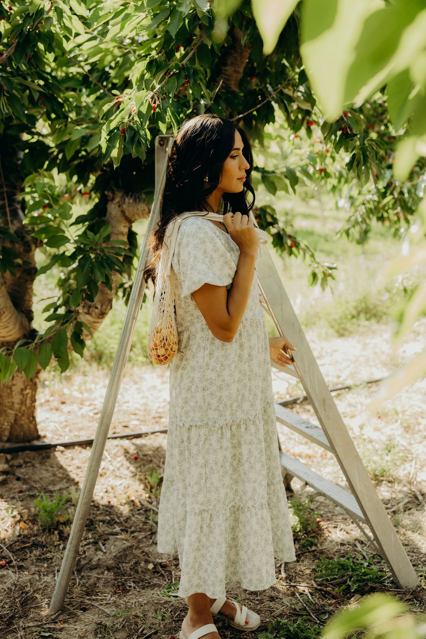 Serena Dress in Lucky Clover- Misses and Plus (XS,S,L-4X)