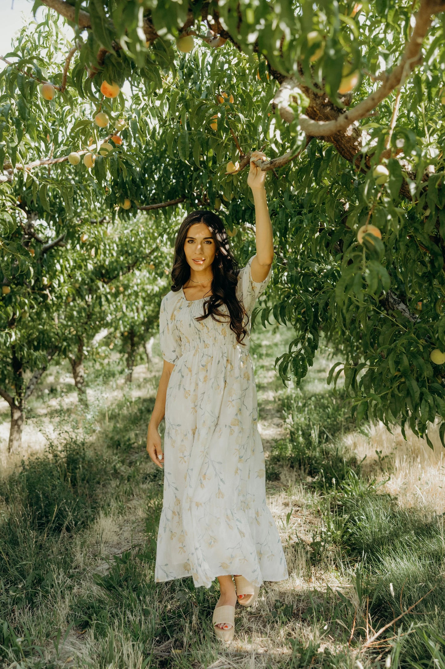 Indy Dress in Dewlight Garden- Misses and Plus (XS-4X)