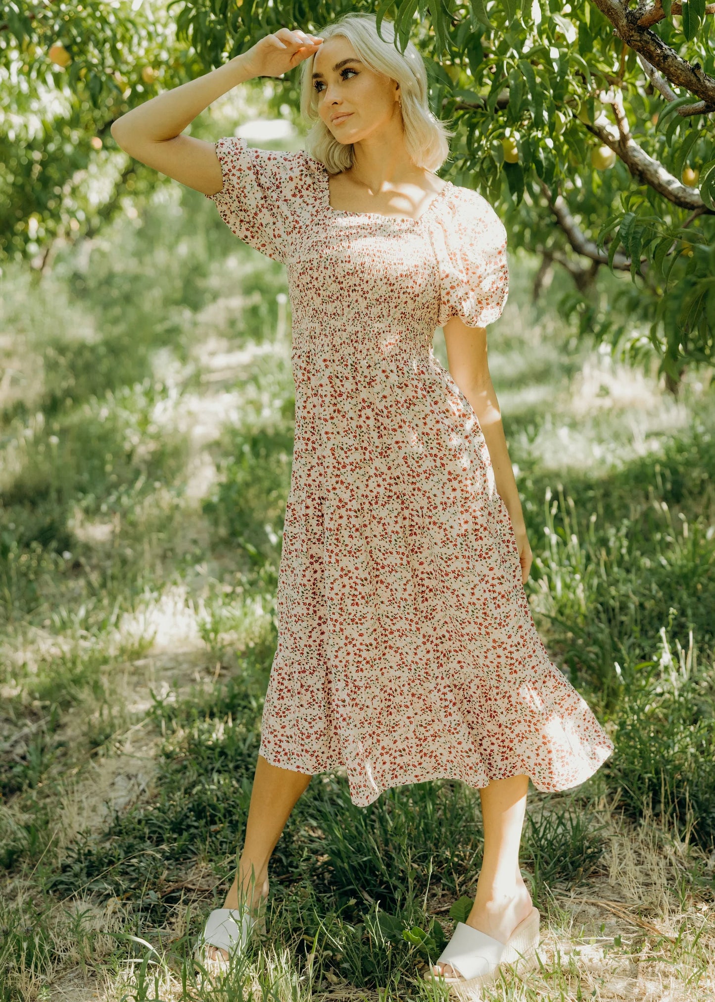 Sherelle Dress in Heirloom Rosette- Misses and Plus (XS,S,L-2X,4X)
