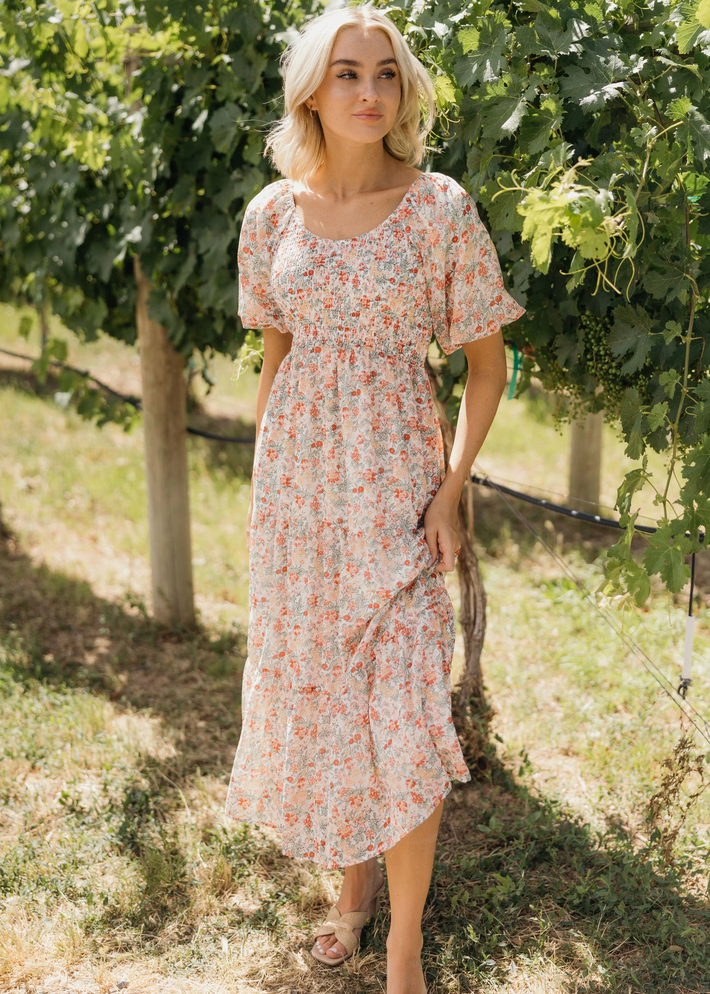 Wyoming Dress in Country Flair- Misses and Plus (XS-4X)